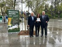El Ayuntamiento reconoce a Martín Casillas y Grupo Integra por su aportación al proyecto 'Replanta Sevilla'