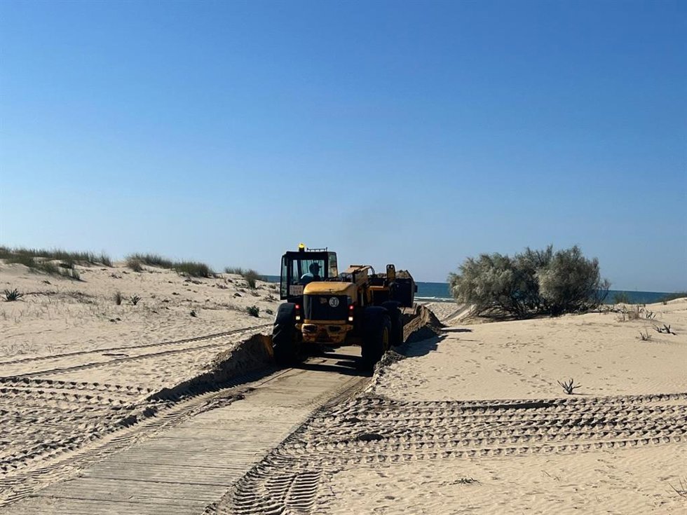 Trabajos en los accesos de playas de Punta Umbría (Huelva).