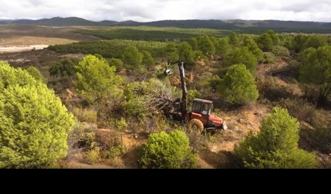 Es Andalucía - Sevilla