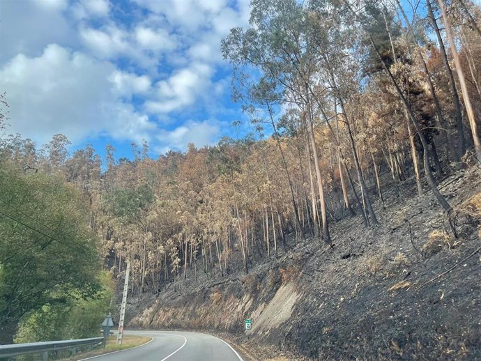Archivo - Incendio frente al embalse de Arbón (Villayón), en agosto de 2025.