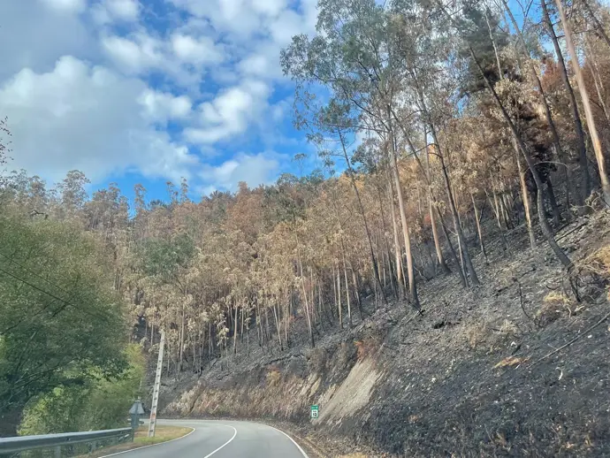 Incendio frente al embalse de Arbón (Villayón), en agosto de 2025.