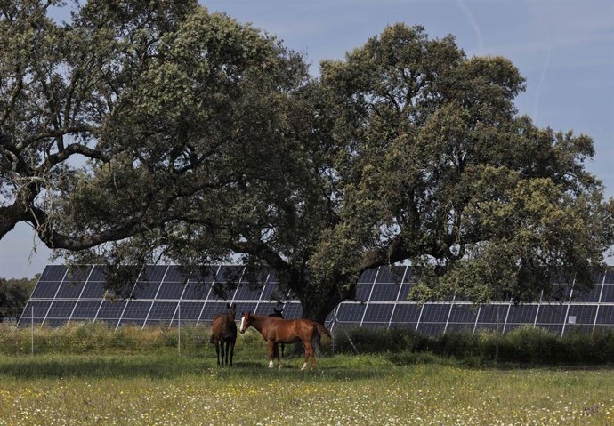Archivo - Planta solar de Talayuela II de Statkraft, en Talayuela (Cáceres).