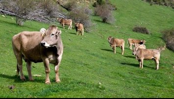 EpAgro - Agricultura