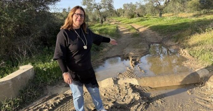 La portavoz del Grupo Municipal Socialista en el Ayuntamiento de Beas, Rosa Tirador.