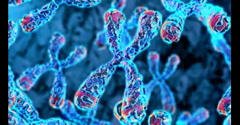 Una nueva huella en las biopsias permite estimar la edad biológica de las células a partir de sus telómeros