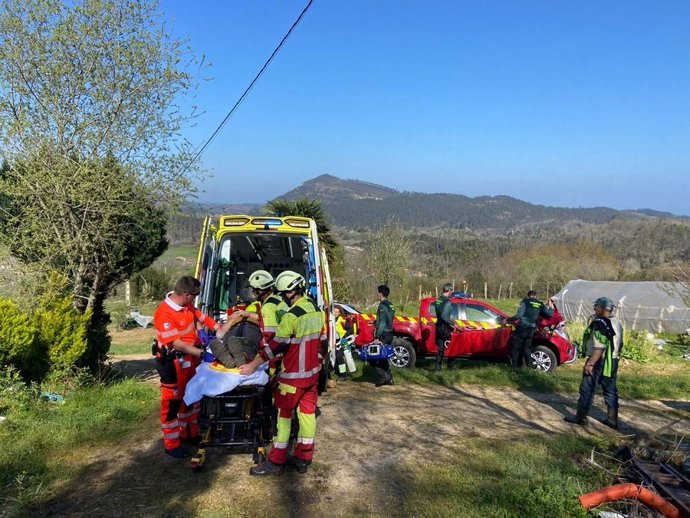 Herido un hombre mientras talaba un árbol en Roiz