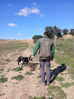 Es Andalucía - Córdoba