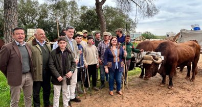 Es Andalucía - Sevilla