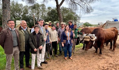 Es Andalucía - Sevilla