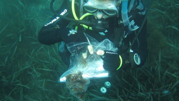 Es Andalucía - Sevilla