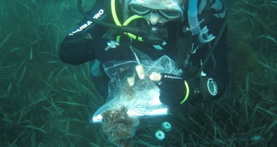 Es Andalucía - Sevilla