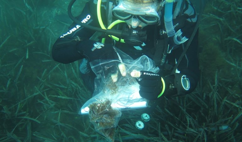 Es Andalucía - Sevilla