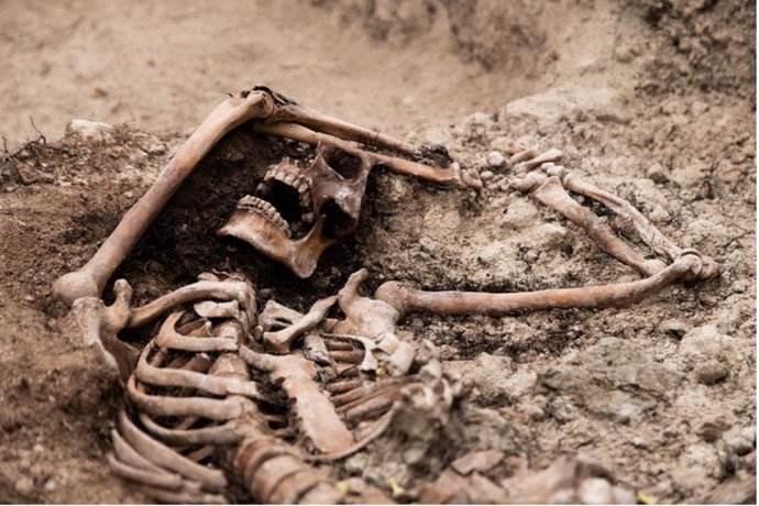 Restos óseos exhumados de una persona represaliada en una de las fosas comunes excavadas en el cementerio municipal de Padul.