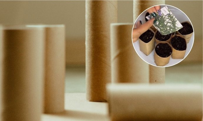 Si tienes un rollo de papel higiénico, tienes un tesoro en casa: así puedes aprovecharlo en jardinería