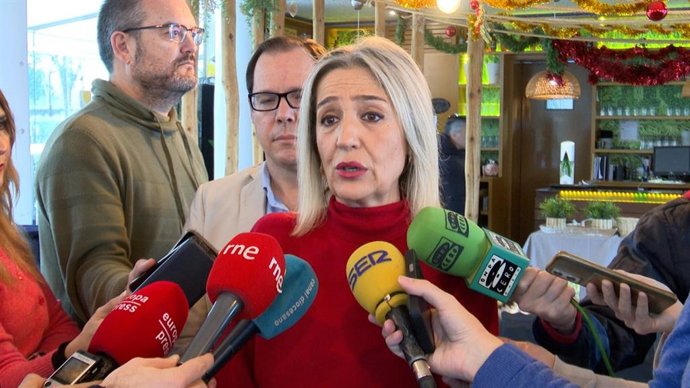 Archivo - La presidenta del Grupo Municipal Vox y vicealcaldesa de Toledo, Inés Cañizares