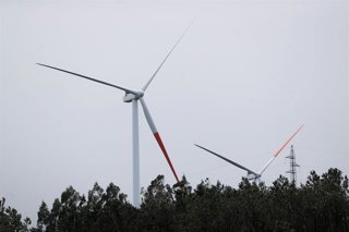 Archivo - Parque eólico