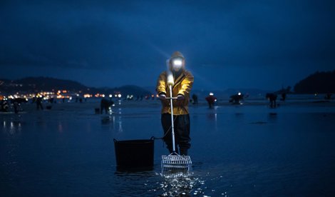 Pesca Galicia