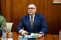 Bernal confía en "amortiguar" el impacto de falta de AVE en Málaga en Semana Santa si acompaña la meteorología