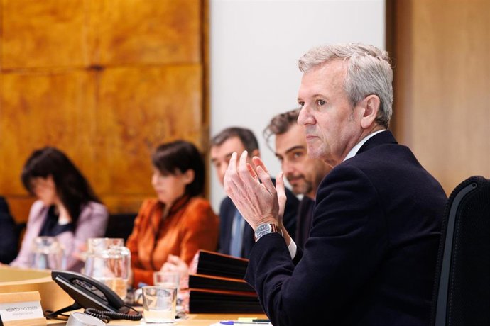 El presidente autonómico, Alfonso Rueda, preside la reunión del Consello da Xunta