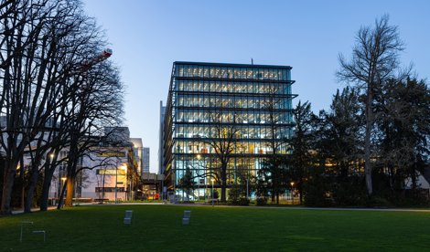 notibrasil sociedade