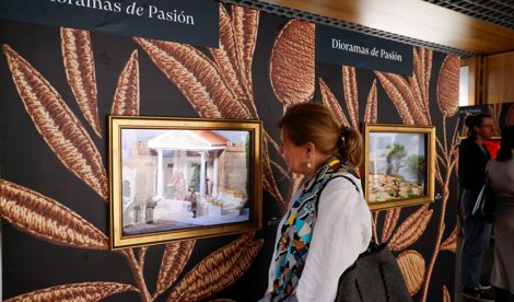 Fundación Cajasol