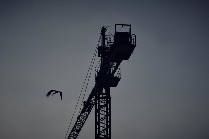 Archivo - Una grúa de construcción, a 19 de abril de 2023, en Ourense, Galicia (España). La Federación Nacional de Asociaciones Inmobiliarias (FAI) ha señalado que las viviendas que la Sociedad de Gestión de Activos Procedentes de la Reestructuración Banc