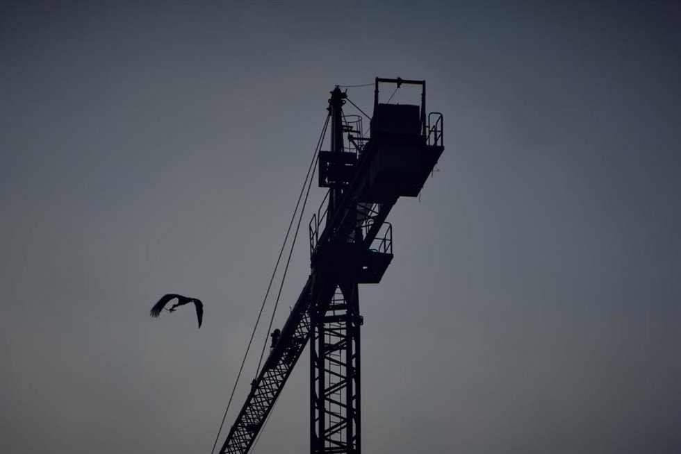 Archivo - Una grúa de construcción, a 19 de abril de 2023, en Ourense, Galicia (España). La Federación Nacional de Asociaciones Inmobiliarias (FAI) ha señalado que las viviendas que la Sociedad de Gestión de Activos Procedentes de la Reestructuración Banc