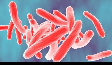 notibrasil sociedade