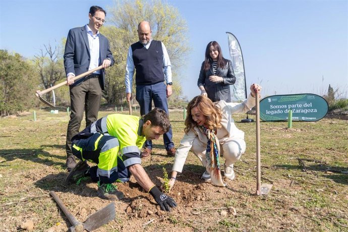 El Bosque de los Zaragozanos comienza las plantaciones en los terrenos cedidos por la Confederación Hidrográfica del Ebro (CHE) en el entorno del Canal Imperial de Aragón en el barrio rural de Garrapinillos