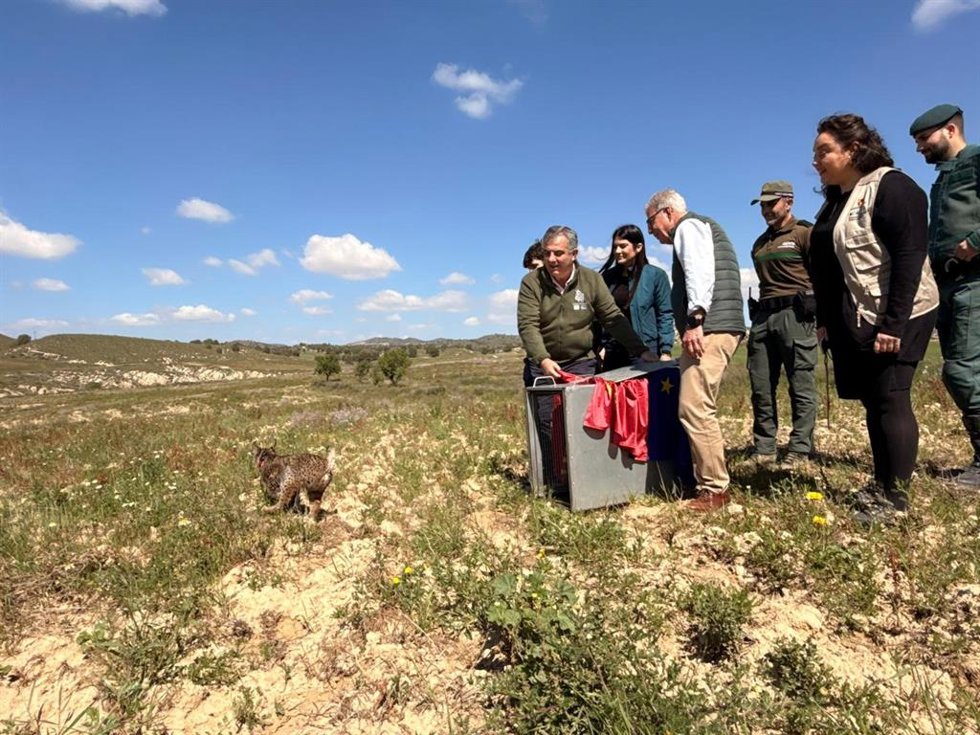 El consejero de Medio Ambiente, Universidades, Investigación y Mar Menor, Juan María Vázquez, el director general de Sostenibilidad de la Junta de Extremadura, Germán Puebla, en la suelta del lince