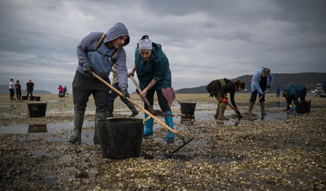 Pesca Galicia