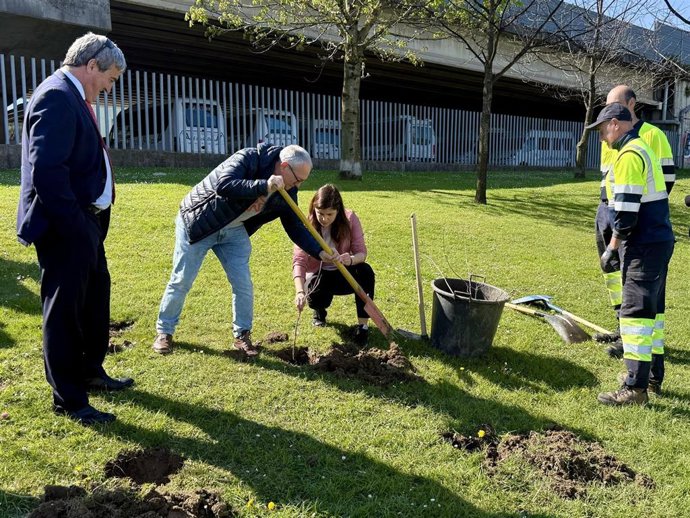 Imagen de la plantación en el entorno del BEC.