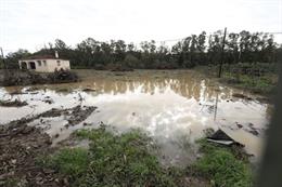 Un campo anegado por el tren de borrascas de enero y febrero en Andalucía.