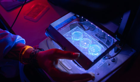 notibrasil sociedade