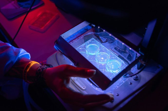 Archivo - Arquivo - Trabalhos em um dos laboratórios do Instituto de Química Avançada da Catalunha do CSIC