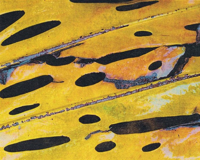 Exposición 'La naturaleza de las cosas'