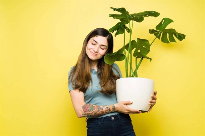 Primavera y alergia, el impacto del polen y las soluciones como Alerbalance