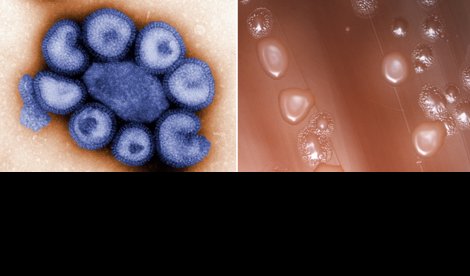 notibrasil sociedade