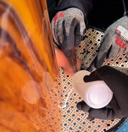 Vídeo de la noticia