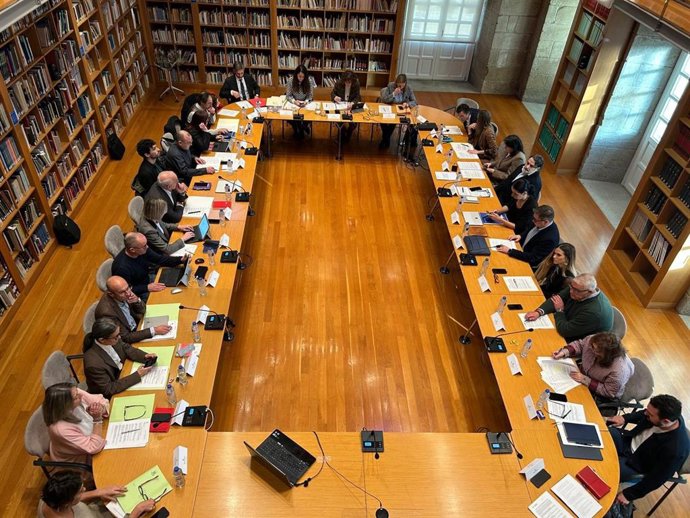 Archivo - Pleno municipal de Santiago