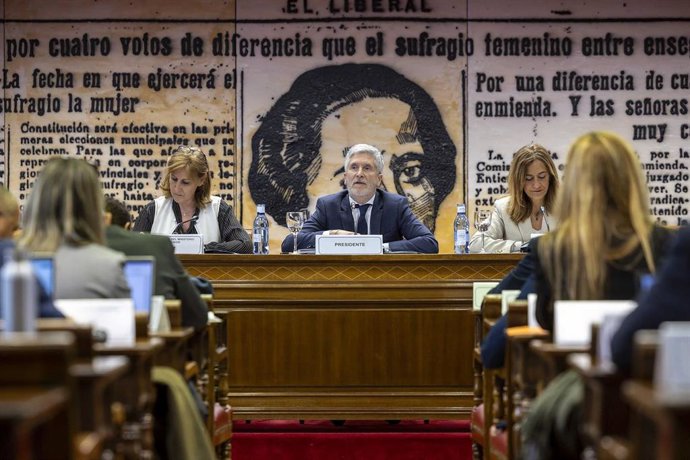 El ministro del Interior, Fernando Grande-Marlaska, durante el Consejo Nacional de Protección Civil