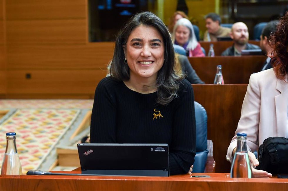 Archivo - La portavoz de Más Madrid en la Asamblea de Madrid, Manuela Bergerot