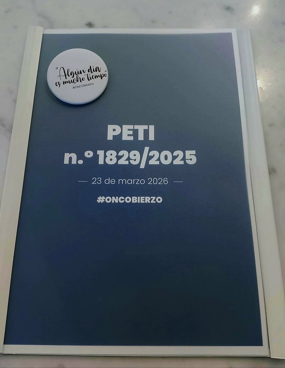 Representantes de OncoBierzo denunciaron el pasado lunes, 23 de marzo, la "desigualdad" en el acceso a la sanidad pública en la Comisión de Peticiones del Parlamento Europeo.