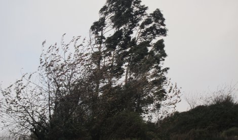 Valencià