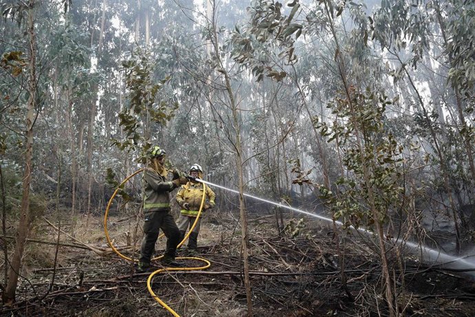 Archivo - Bomberos trabajan en las tareas de extinción del incendio forestal en Cervo, a 5 de noviembre de 2025, en Cervo, Lugo, Galicia.