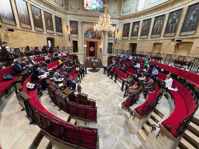 Pleno de las Juntas Generales de Bizkaia