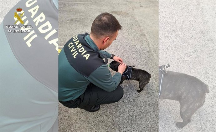 Agente de la Guardia Civil con un cachorro de perro.