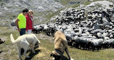 Cantabria