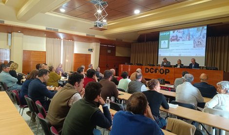 Es Andalucía - Málaga