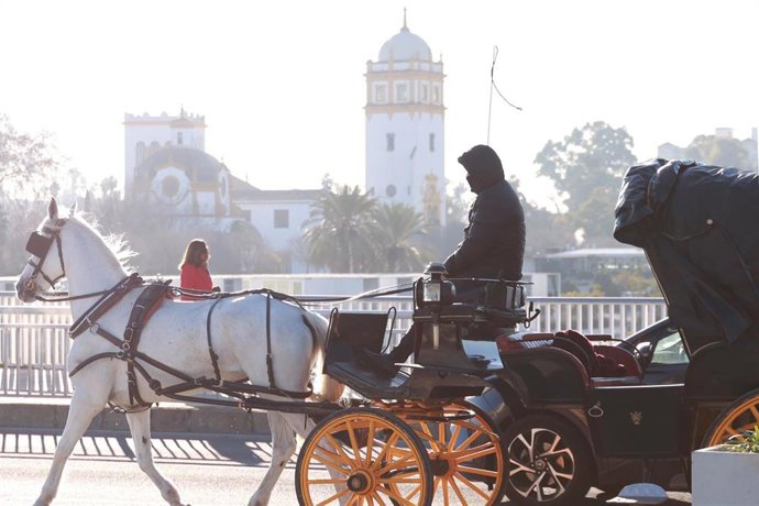 Archivo - Una cochero se abriga para protegerse del frío en Sevilla (Andalucía, España). 